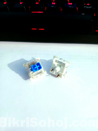 Mechanical Blue Switch